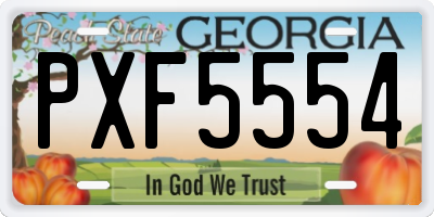 GA license plate PXF5554