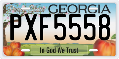GA license plate PXF5558