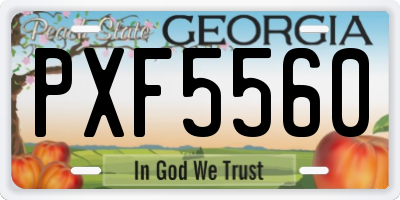 GA license plate PXF5560