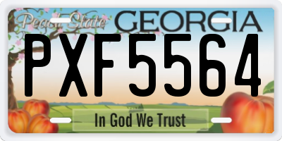 GA license plate PXF5564