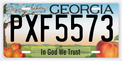 GA license plate PXF5573