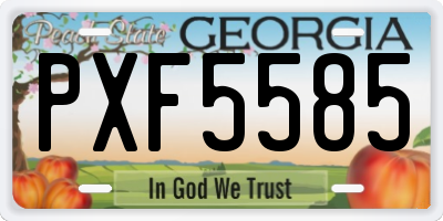 GA license plate PXF5585