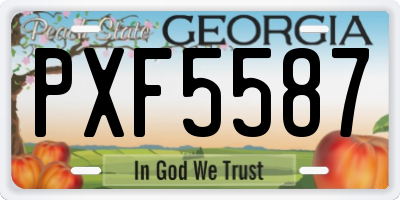 GA license plate PXF5587