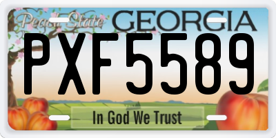 GA license plate PXF5589