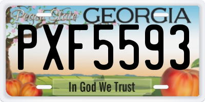 GA license plate PXF5593