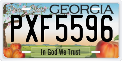 GA license plate PXF5596