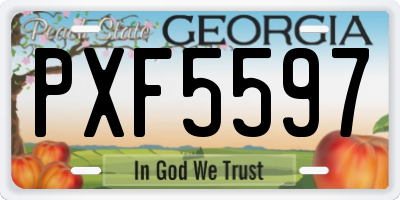 GA license plate PXF5597