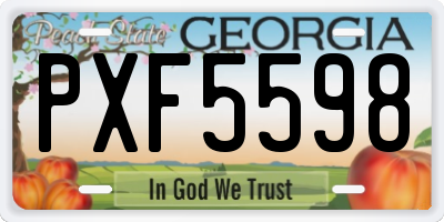 GA license plate PXF5598
