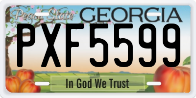 GA license plate PXF5599