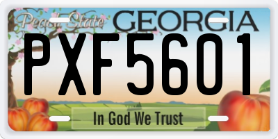 GA license plate PXF5601