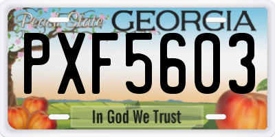 GA license plate PXF5603