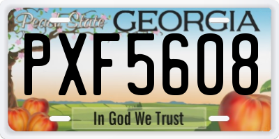 GA license plate PXF5608