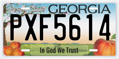 GA license plate PXF5614