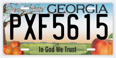 GA license plate PXF5615