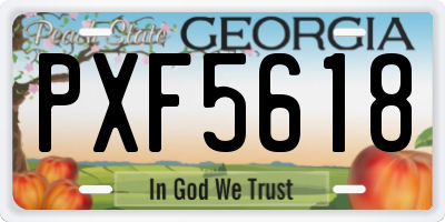 GA license plate PXF5618