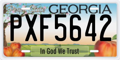 GA license plate PXF5642