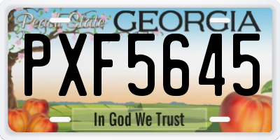 GA license plate PXF5645