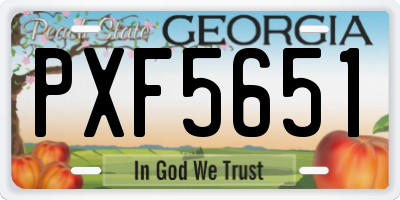 GA license plate PXF5651