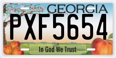 GA license plate PXF5654