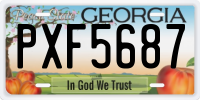 GA license plate PXF5687