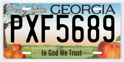 GA license plate PXF5689