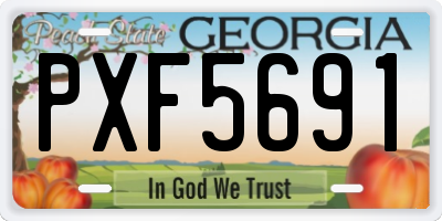 GA license plate PXF5691