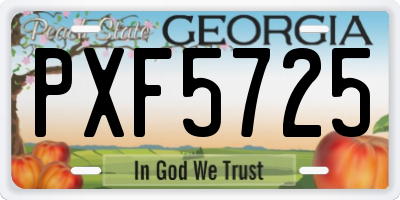 GA license plate PXF5725