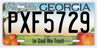 GA license plate PXF5729