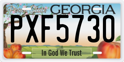 GA license plate PXF5730