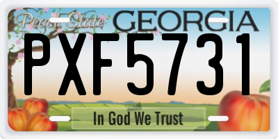 GA license plate PXF5731