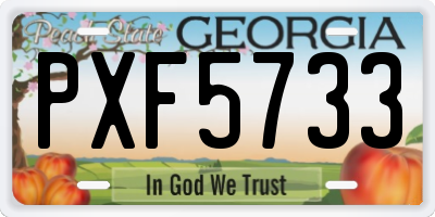 GA license plate PXF5733