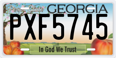GA license plate PXF5745