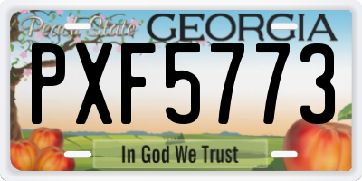 GA license plate PXF5773