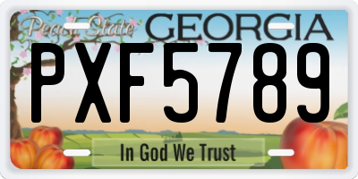 GA license plate PXF5789