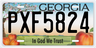 GA license plate PXF5824