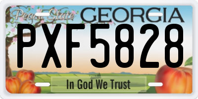 GA license plate PXF5828
