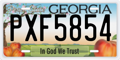 GA license plate PXF5854
