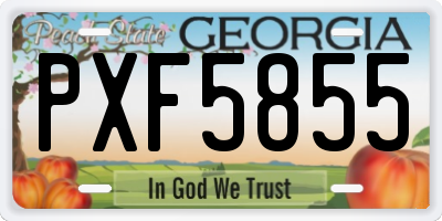 GA license plate PXF5855