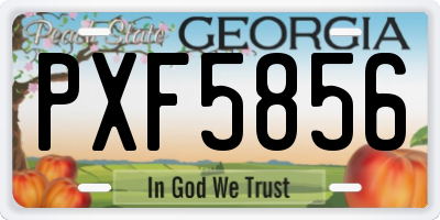 GA license plate PXF5856