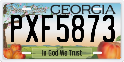 GA license plate PXF5873