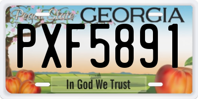 GA license plate PXF5891