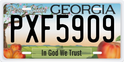 GA license plate PXF5909