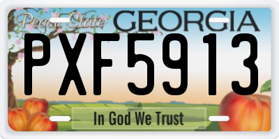GA license plate PXF5913