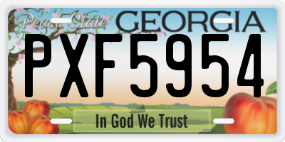 GA license plate PXF5954