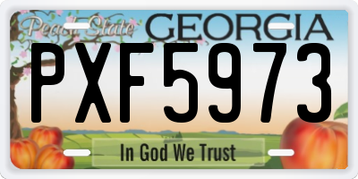 GA license plate PXF5973