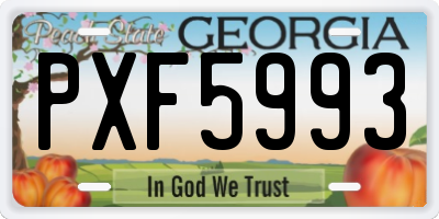 GA license plate PXF5993