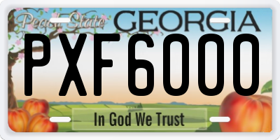 GA license plate PXF6000