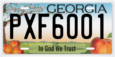 GA license plate PXF6001
