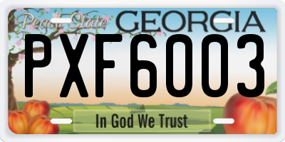 GA license plate PXF6003