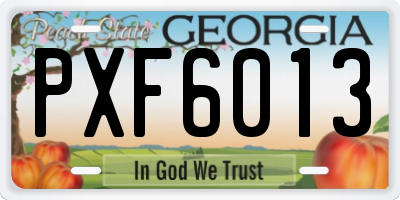 GA license plate PXF6013
